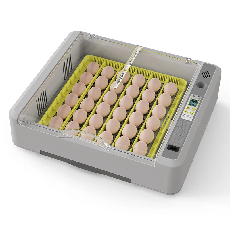 Wonegg Mini Dual Power 36 Eggs Chicken Broiler Pigeon Egg Incubator Automatic Brooder Incubator For Poultry