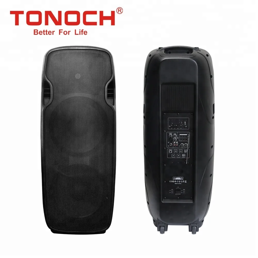 Double 15 inch  Professional audio bass BT Speaker With LED from manufacturer