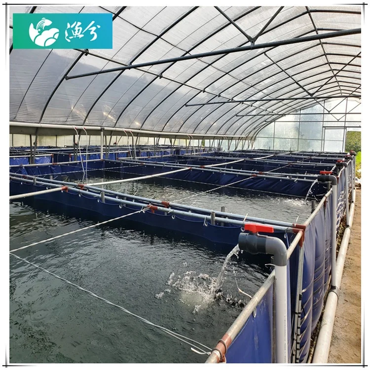
Vannamei shrimp PVC tank RAS - recirculating aquaculture equipment systems design 