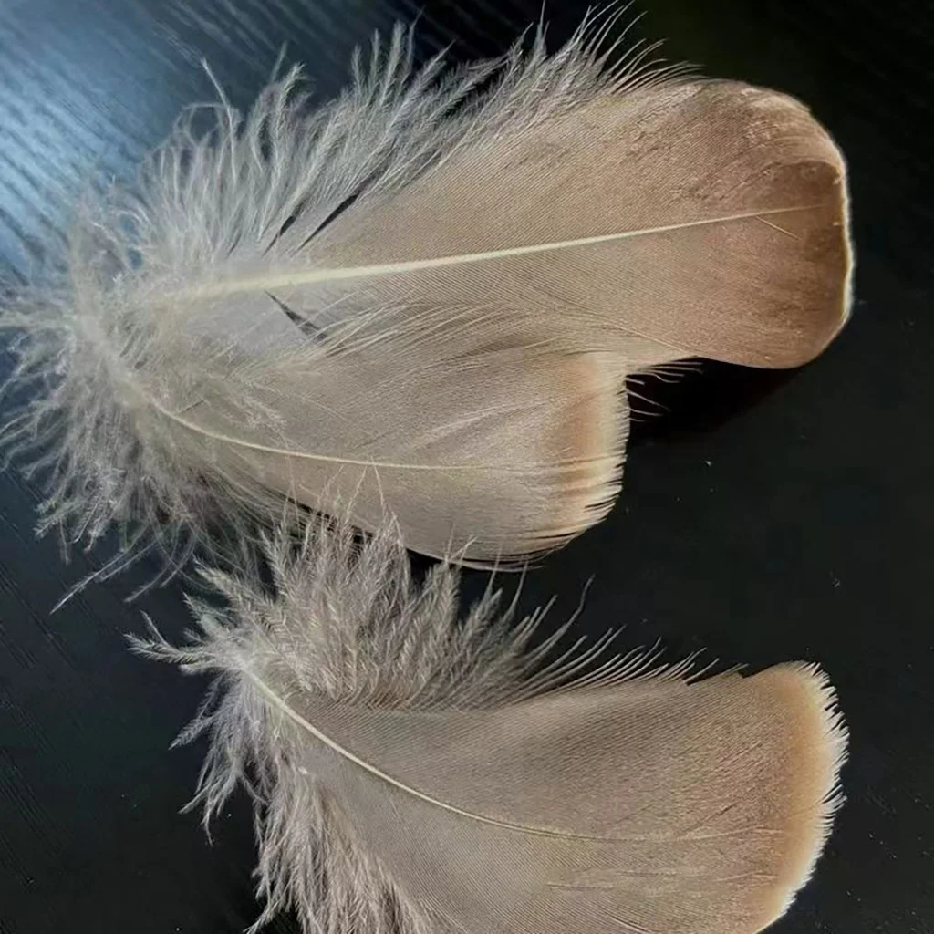 Sale Washed Gray Duck Feather New National Standard 90% 2-4CM Large Gray Duck Feather