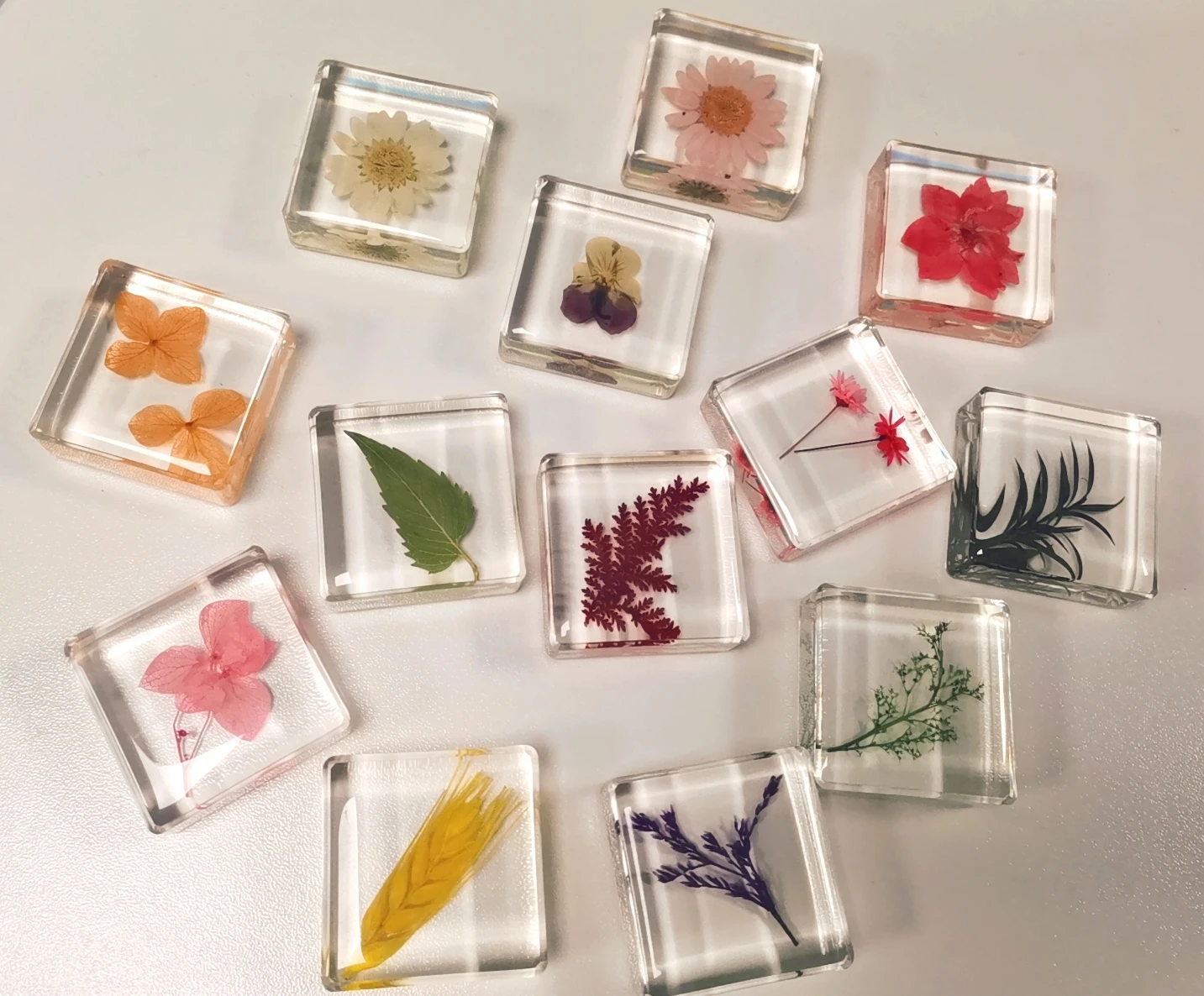 Новые креативные разноцветные цветы из смолы помощь в обучении образцы растений и насекомых