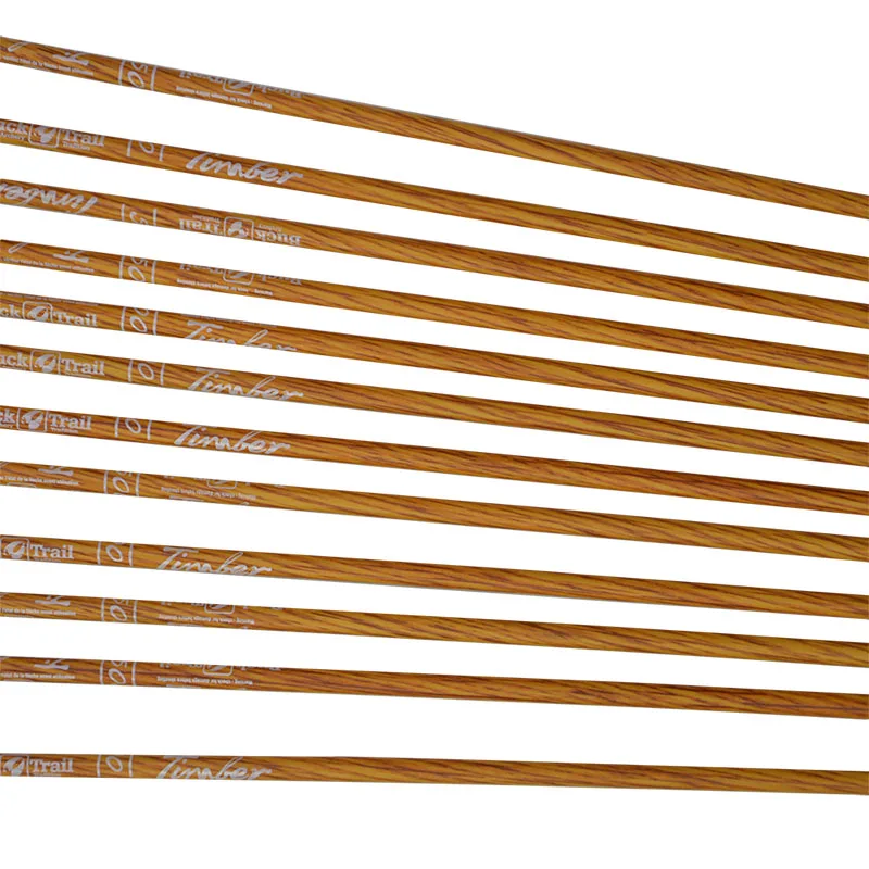 Archery ID.  6.2 mm Pure Carbon Arrow 33 Inch Spine 500 with Replaceable Arrowhead for Compound/Recurve Bow Outdoor Hunting