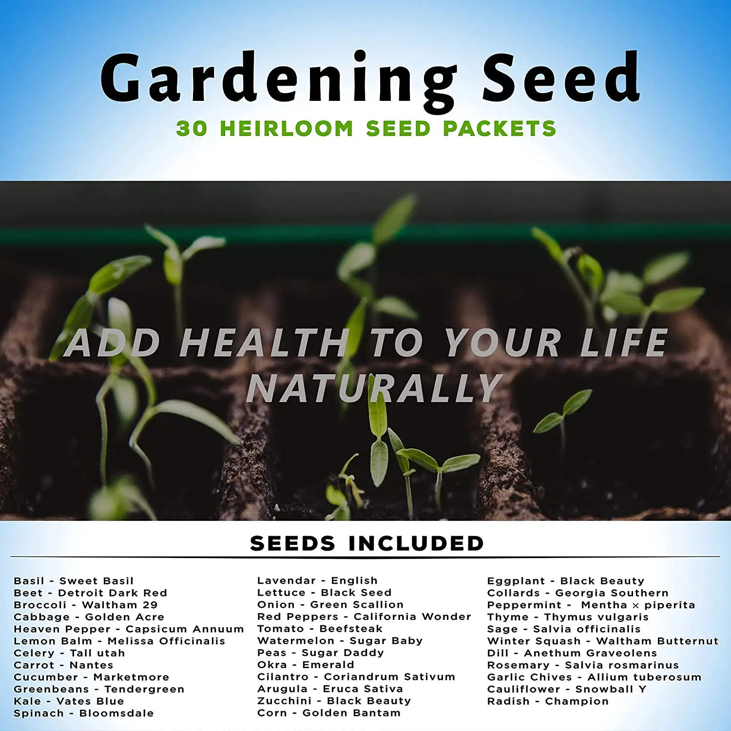 Vegetable Seeds - Set of 35 Assorted Non-GMO Vegetables & Herb Seedlings - Starter Variety Mix for Indoor & Outdoor Gardening