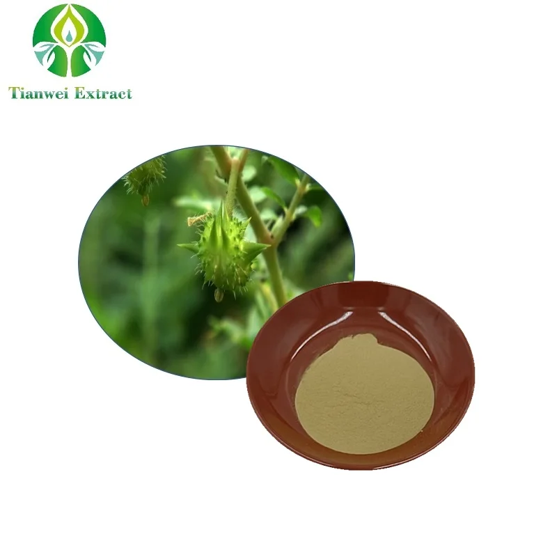 Аптечка Tribulus Terrestris экстракт сапонинов 40% - 98% порошок