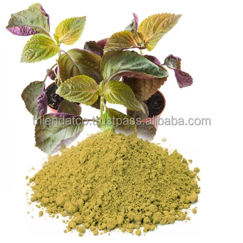 Порошок экстракта листьев периллы