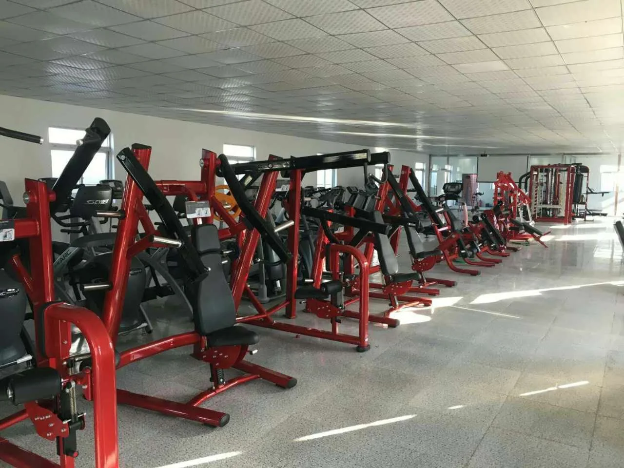 Gym80 Plate Loaded Weight Bench Press Gym Equipment