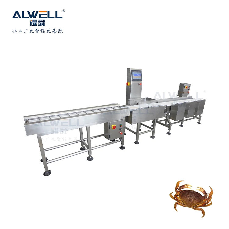 Automatic steak seafood weight sorting checkweigher machine fish shrimp grader sorter frozen meat food grading machine