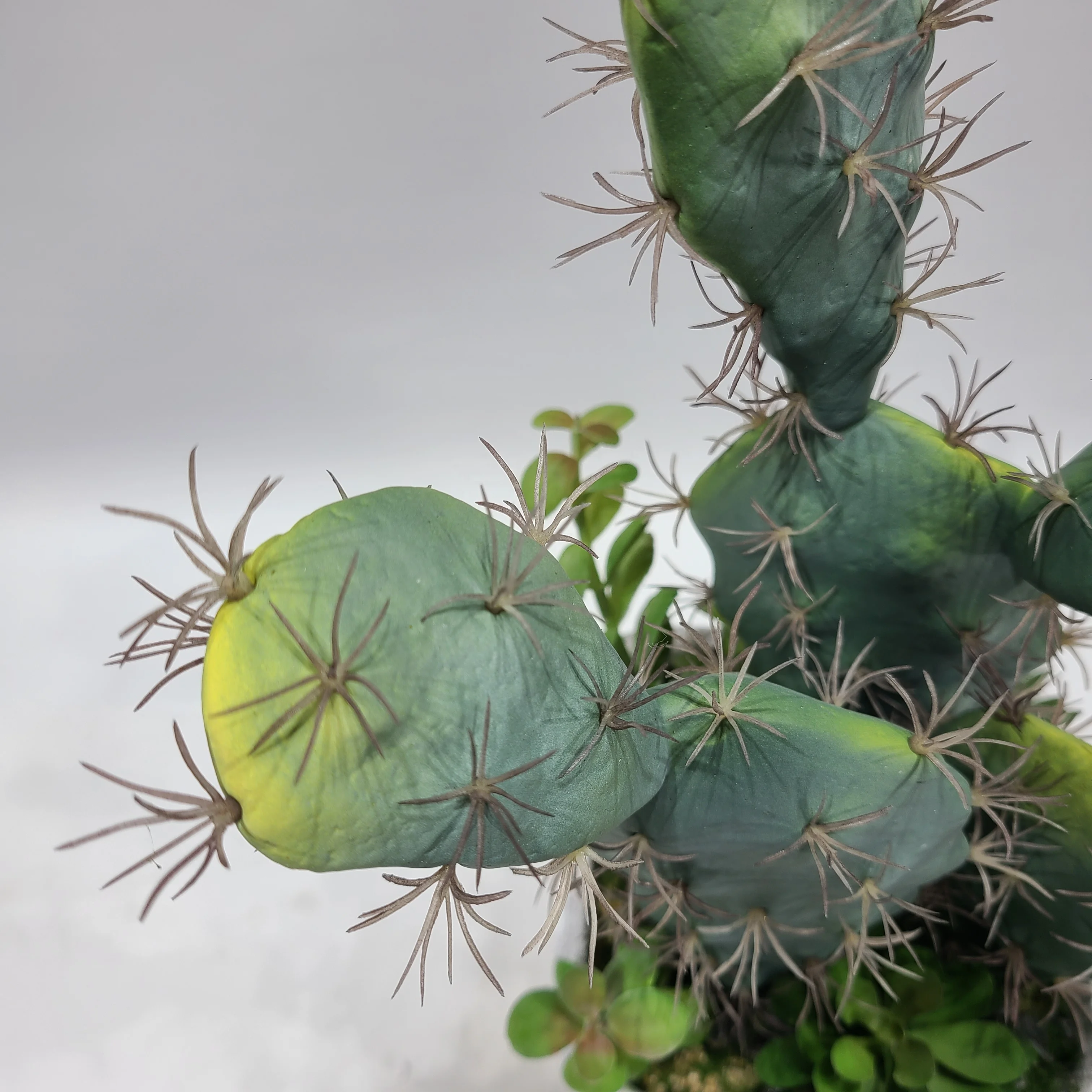 
38CM Succulent cactus Interior decoration 