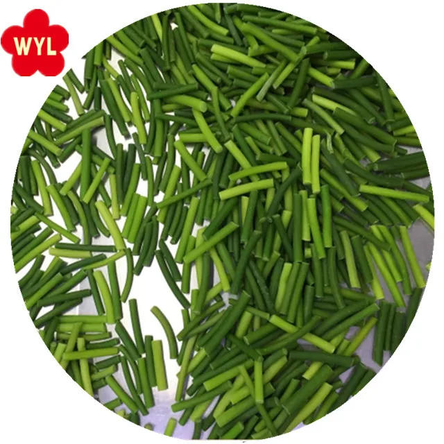 Wholesale new crop garlic sprouts  cheap Price IQF Vegetables Frozen Green Garlic Cut with High Quality