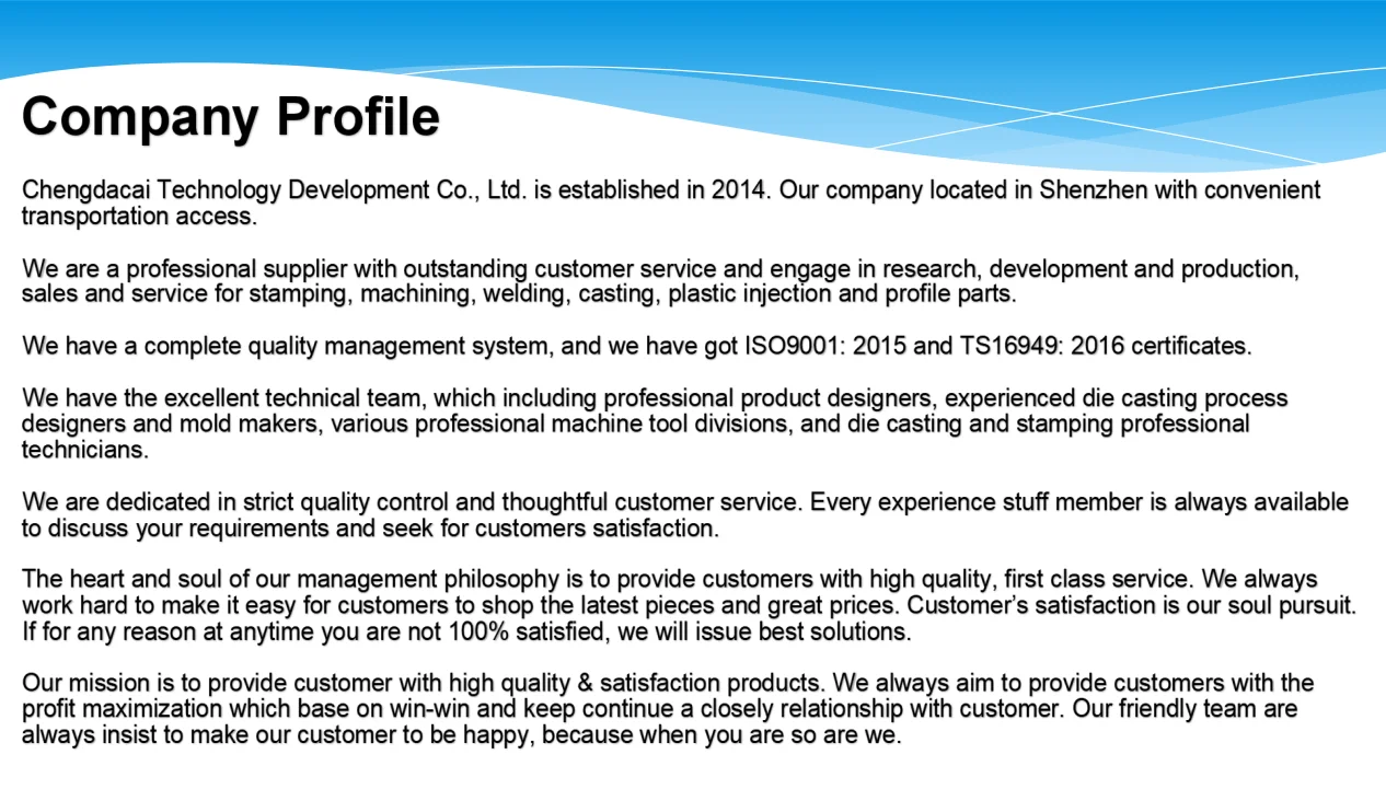 1 company profile