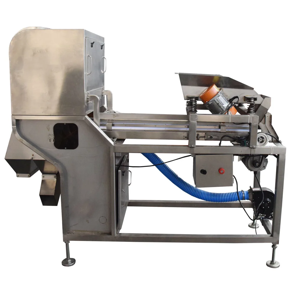 Multi-Purpose Cashew Walnut Hazelnut Color Sorter Garlic Color Sorting Machine