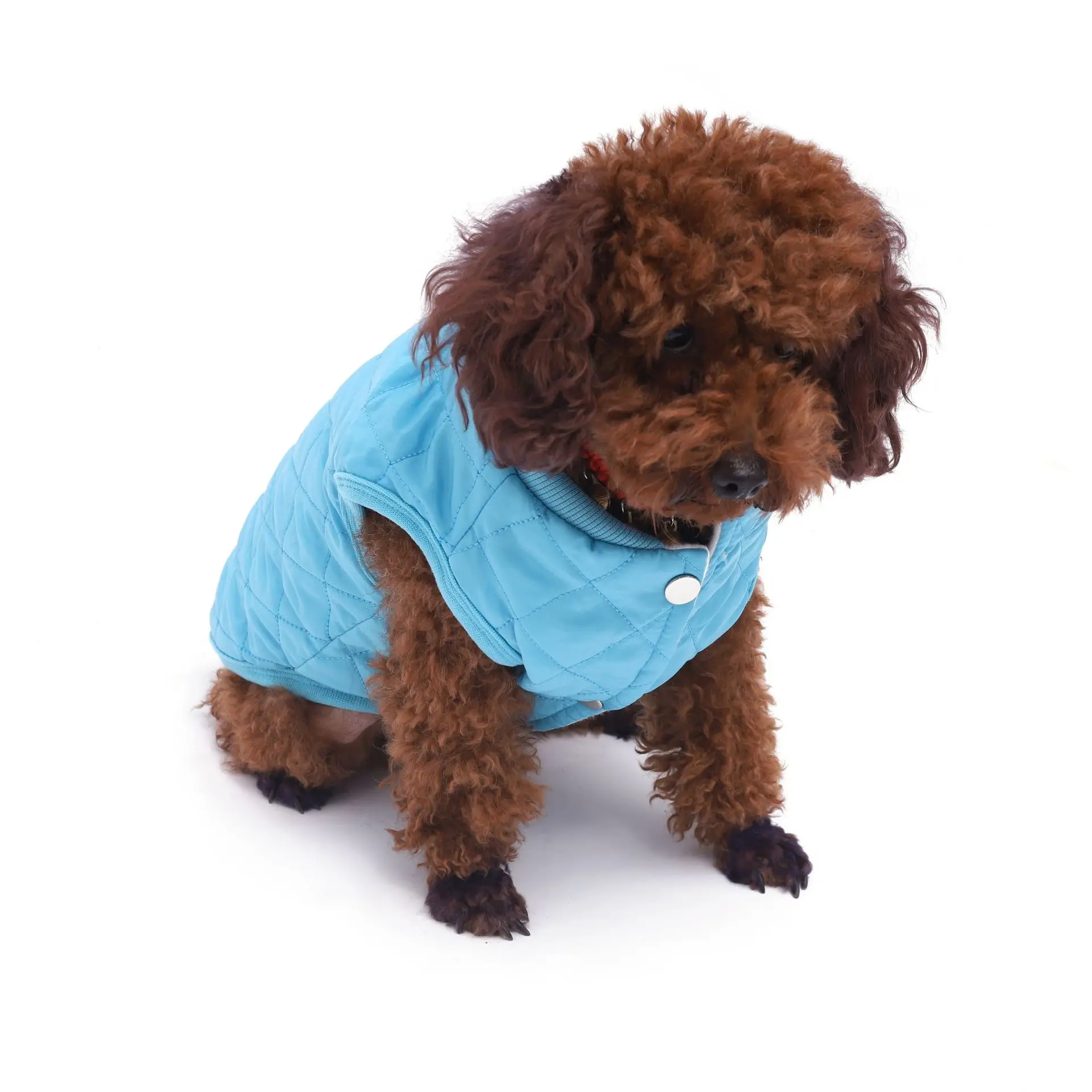 Wholesale From Source Manufacturers Clothes For Dog Costume Christmas Pet Dog,Good Price And Quality