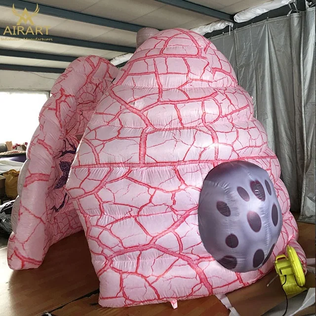 Giant PVC Inflatable Medical Lungs with Lung Tube Model