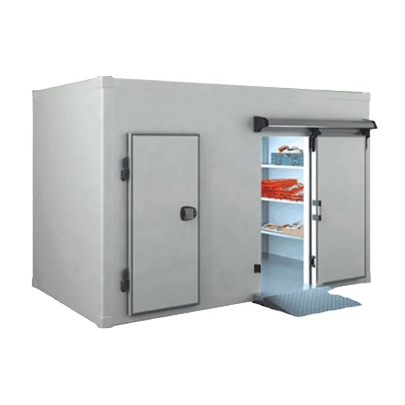 Walk in Blast Freezer  Room Chiller Cold Room Solar Powered Cold Store Container Industrial Refrigerator For Meat