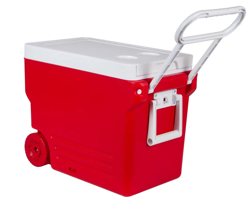 Portable Cool Outdoor Small Ice Cooler Box for Camping Fishing