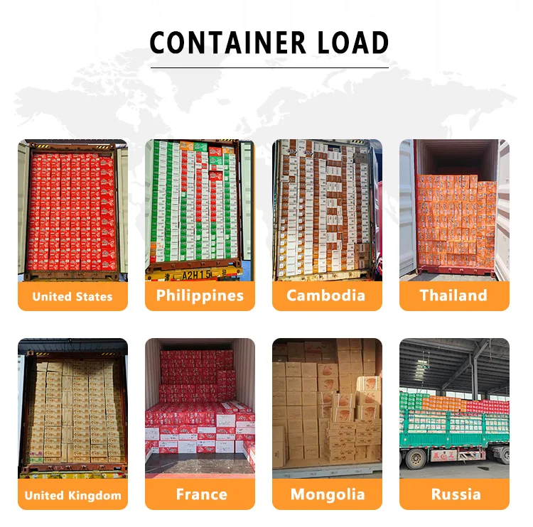 Instant Noodle Best Selling Popular Product Available Favorite Product Instant Noodles Wholesaler And Distributor