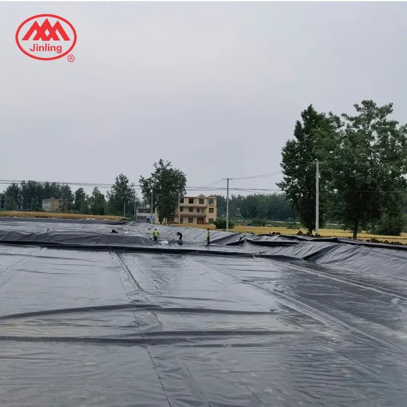0.5Mm 0.75Mm Shrimp Pond Catfish Farm Liner 0.3-3.0Mm Geomembranes Geosynthetics Hdpe Pondliner
