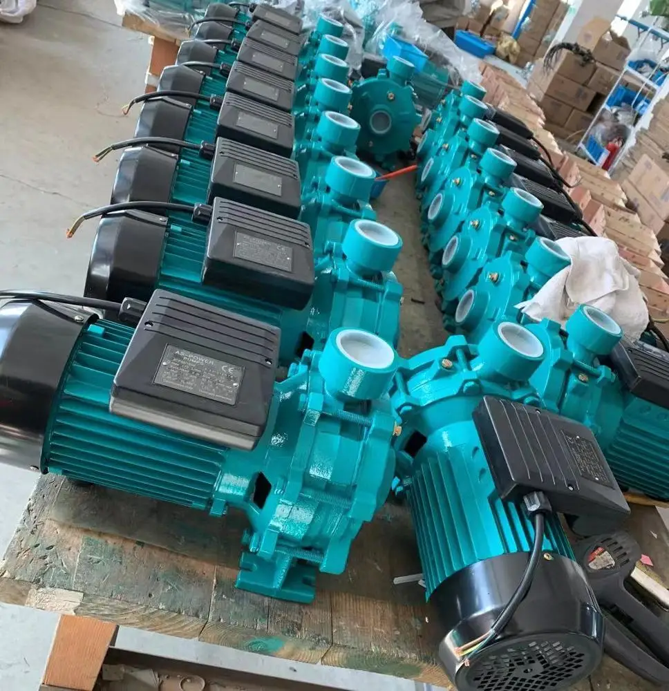 2CP50/160B центробежный насос с двумя крыльчатками 2JCM50/200 водяной насос с Высокой Головкой
