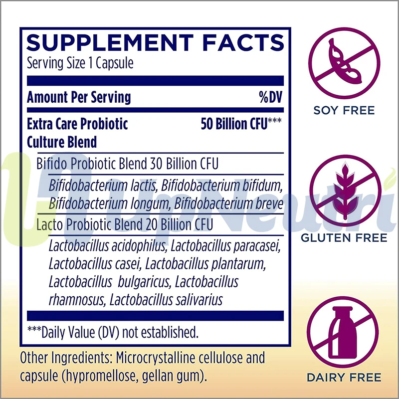 OEM/ODM Private Label Probiotics 50 Billion CFU 12 Strains Men and Women Gluten Dairy and Soy Free 60 probiotics capsules