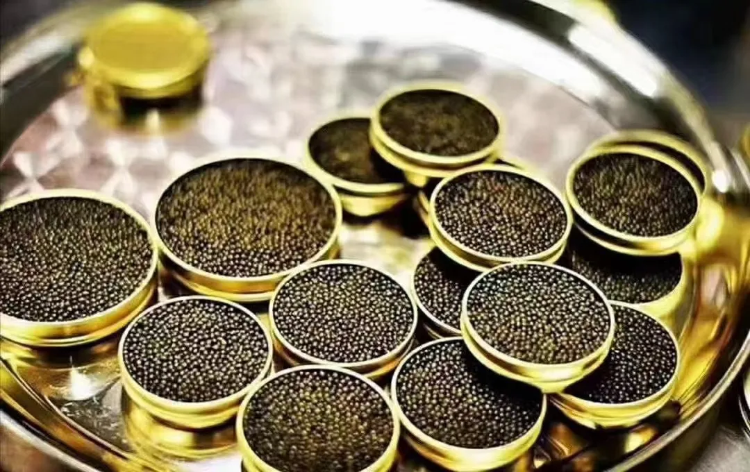 Cheap Chinese sturgeon black caviar red Marrow osetra ikra Sturgeon