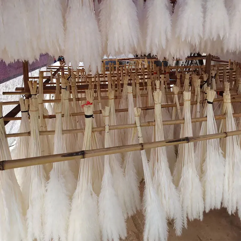 Good Selling Faux Pampas Decor Manufacturers Artificial Feather Pampass Grass