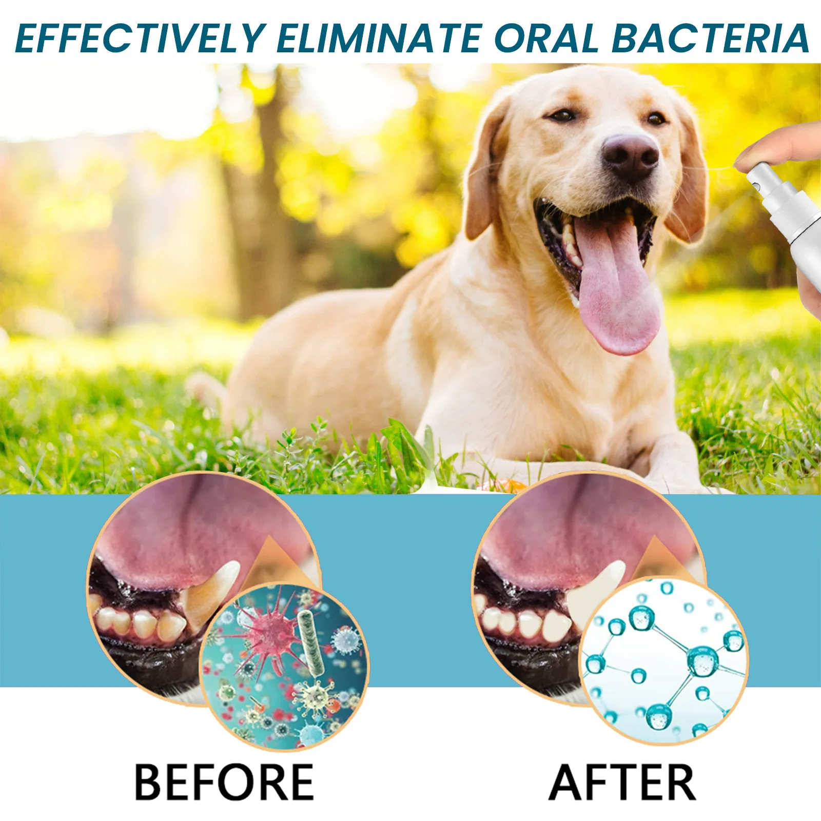 Multi-Purpose Oral Care Set for Dogs and Cats Odor Removing Fragrant Oral Care Spray Dental Health Care Product