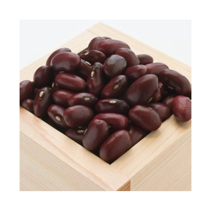 Small boiled red kidney bean with abundant vegetable protein