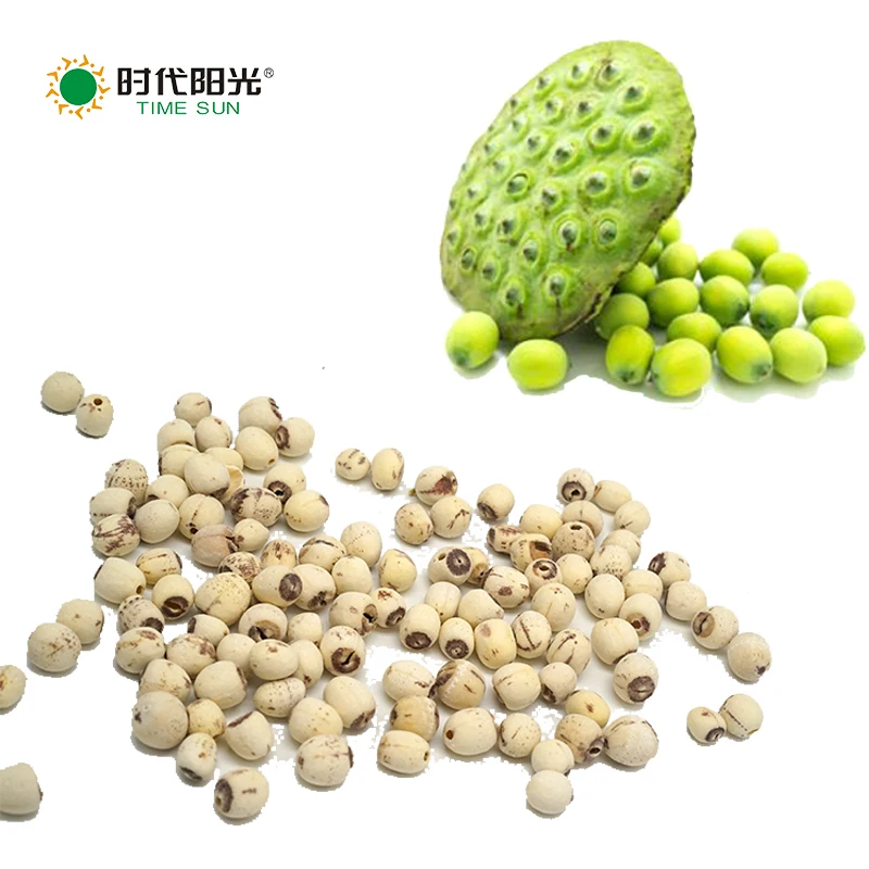 
Time Sun Golden grade Hot Sale New bulbus fritillariae unibracteatae natural Fritillaria cirrhosa dried lotus seed 