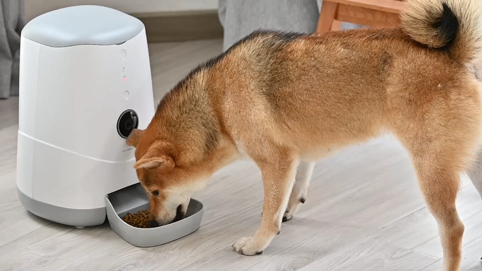 4L Dog cat automatic smart pet feeder with camera mobile App remote control