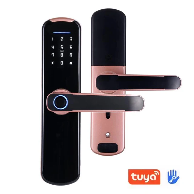  Новый стиль смарт-дверного замка TUYA приложение Wi-Fi для смарт-карт определение отпечатка пальца кодового cerradura de puerta inteligente ttlock