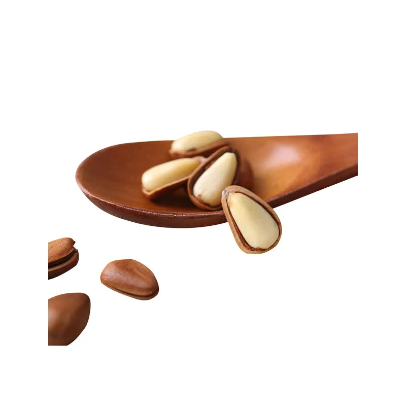 Pine Nuts Good Quality Wholesale Pine Nut Kernel For Food Good Healthy Pine Nut
