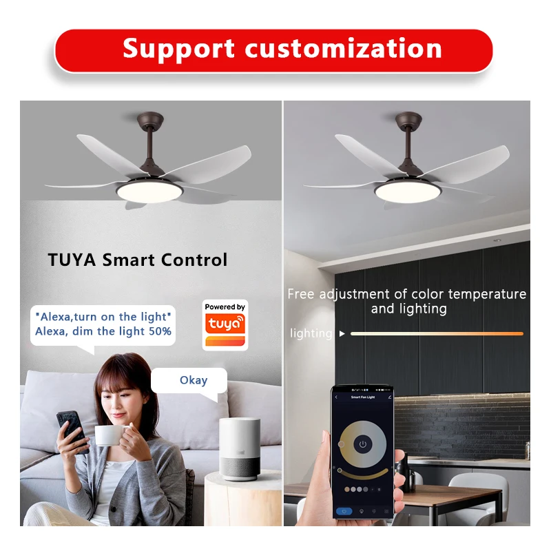 SLYNN Industrial Style Iron Ceiling Fan Manufacturer in China Indoor Cooling Electric Remote Control Led Ceiling Fan With Light