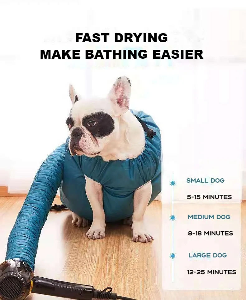 Ly Pet Grooming Set Supplies Produtos Shenzhen Pet Products Dogs And Puppies For Sale Grooming Products Pet Dryer Box