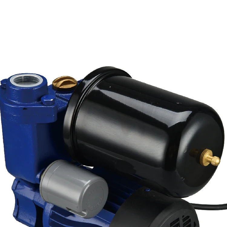 SALI High Performance SK250  0.25kw High Quality Self Priming Water Pump