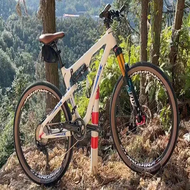 Free Express Shipping SANTA  Fram Professional Carbon Fiber bike1:1 Manual Assembly Carbon bike of sale