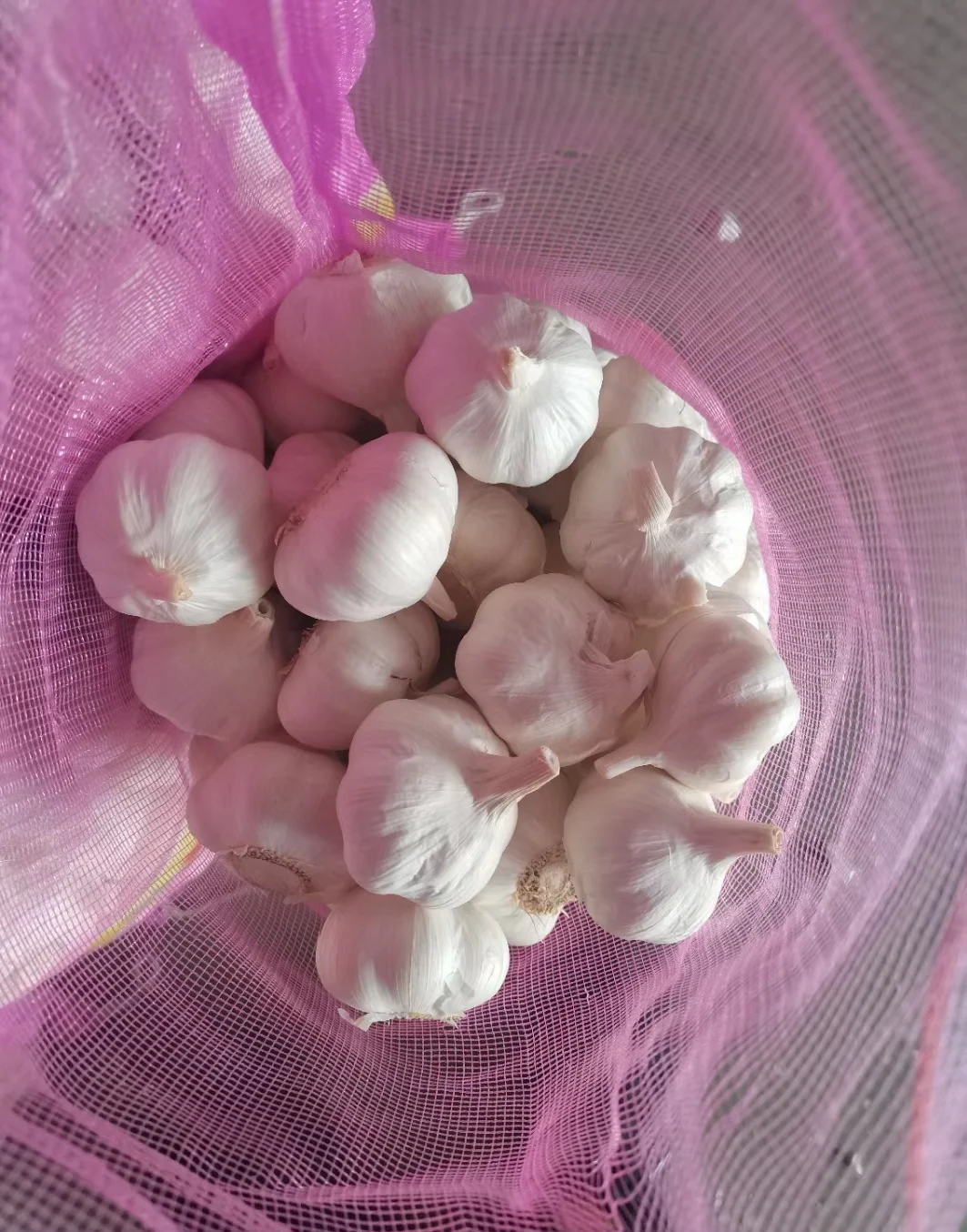 Factory direct garlic cheap new garlic Chinese garlic