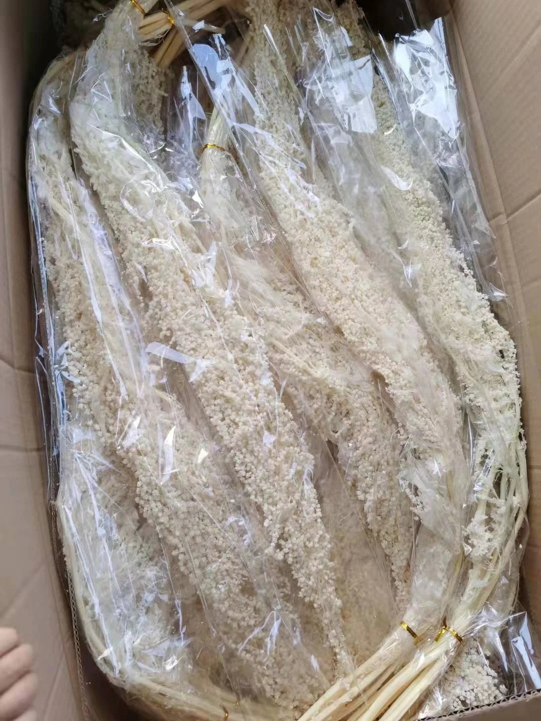 hanging amaranth preserved amaranthus red white black amaranths frozen preserved fresh real amaranth dry flower