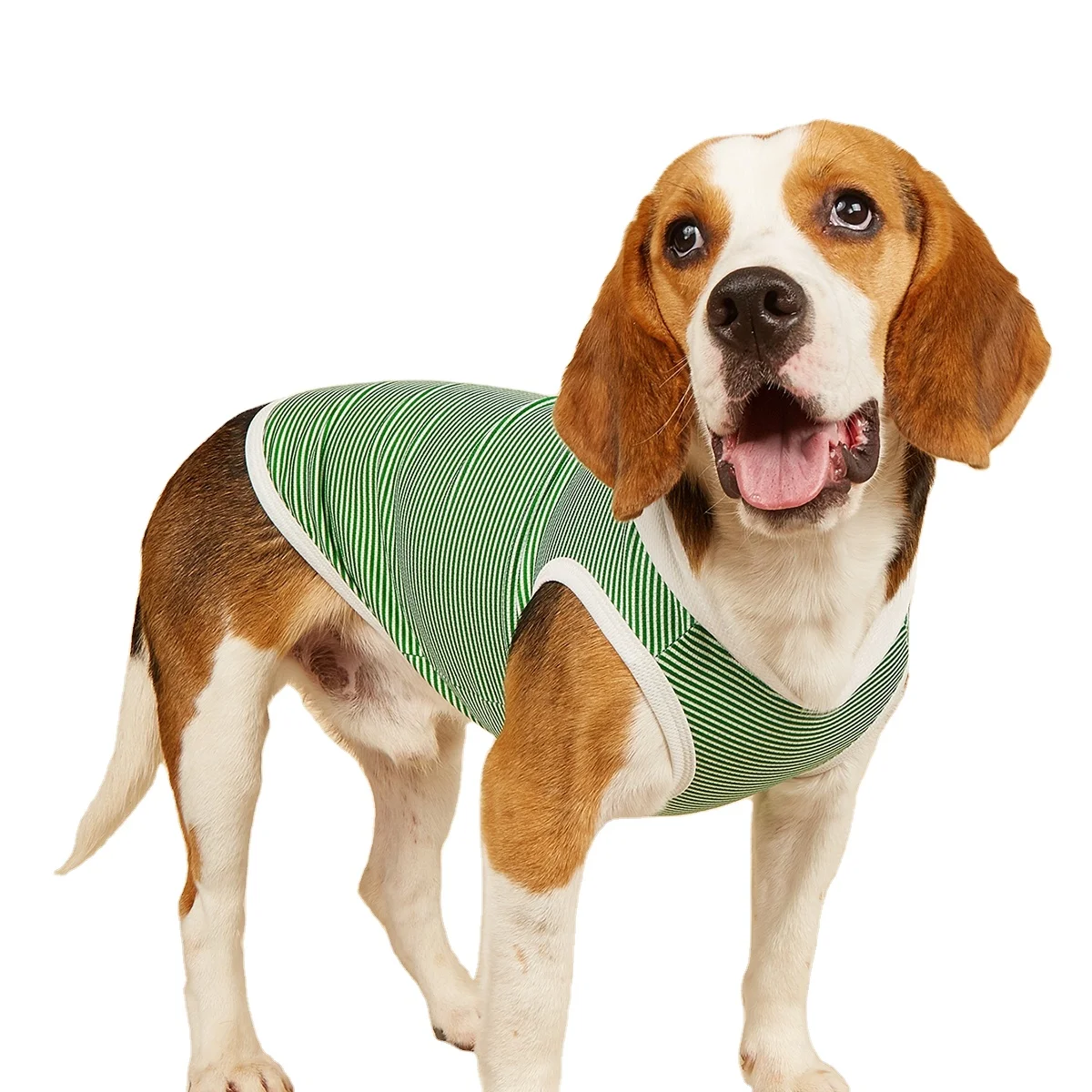 Wholesale High Quality Luxury Pet Matching Clothes Custom