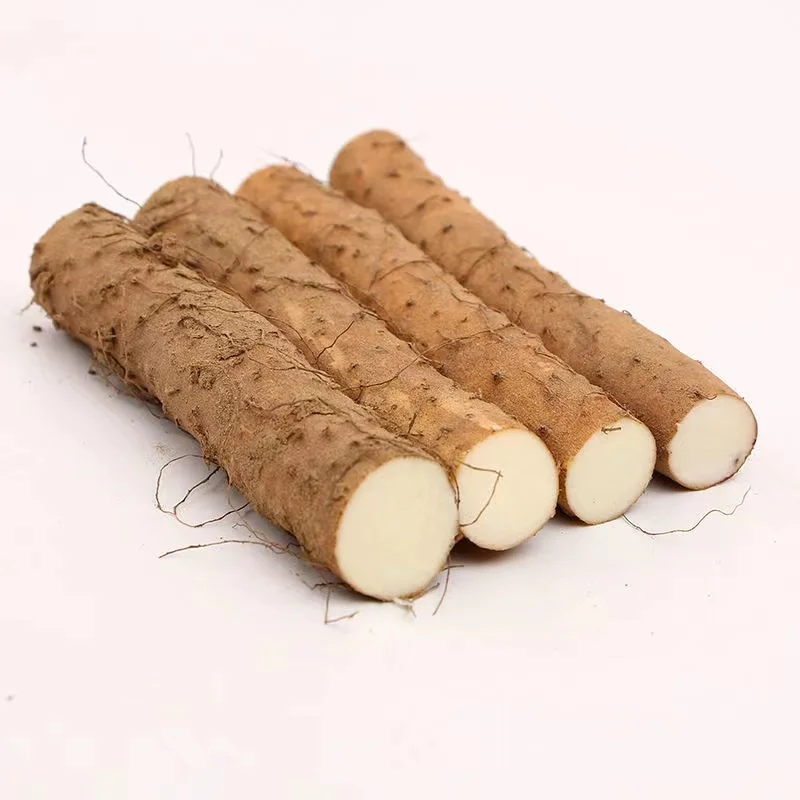 
Direct selling iron stick yam fresh yam with good quality 