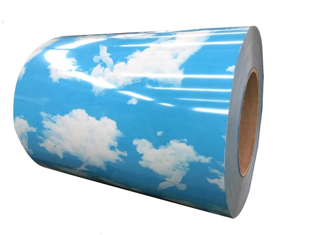 Pattern Ppgi Ppgl Metal Steel/hdg Coil Ppgi Sheet/colour Coated Steel Stainless Steel Coil Prices Fiber Cement Roof Sheet CN;SHN