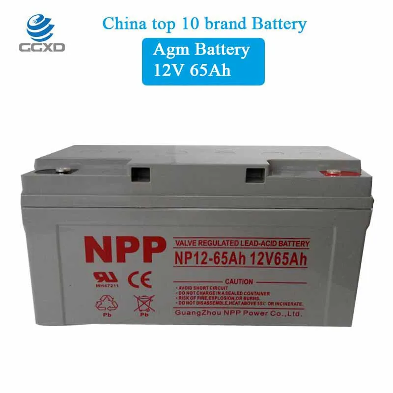 NPG 12V 200AH Lead Acid Battery (Model: NPG12-200)