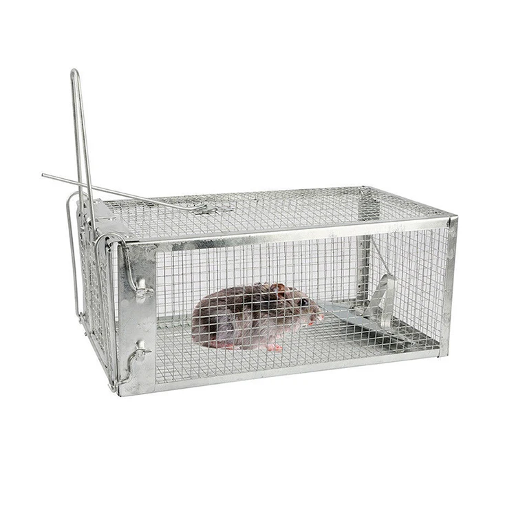 Humane No Kill Rat Traps Silver Galvanized Wire Mesh Mouse Trap Cage