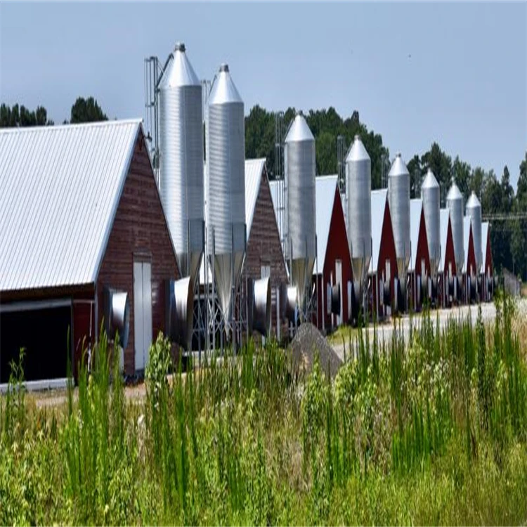 JG Steel structure cowshed, chicken house, breeding plant, ventilation and warmth