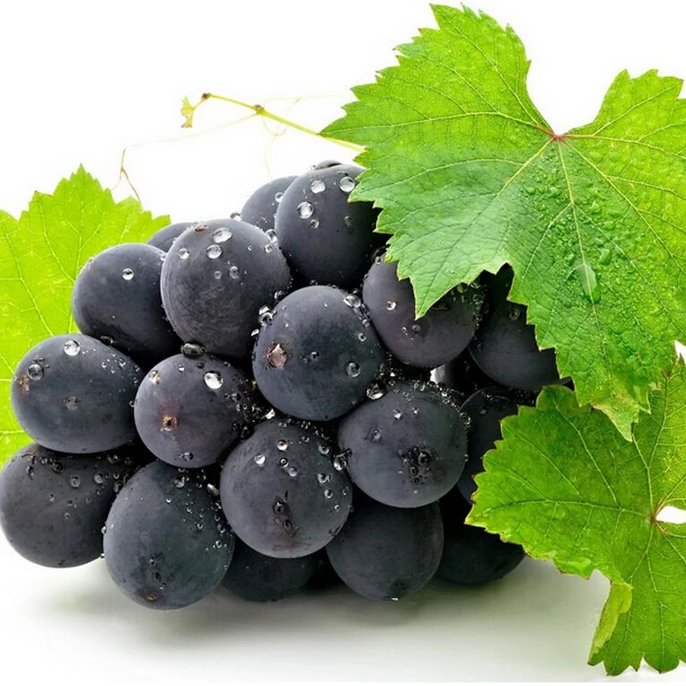 
export top Grade Wholesale Sweet Fresh Fruit Table Grape 