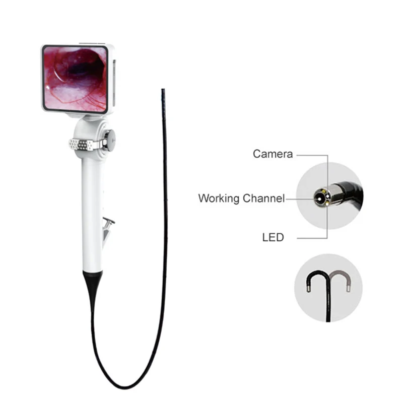 OEM ODM медицинский гибкий эндоскоп ent назальный эндоскоп/гибкий волоконный уретероскоп