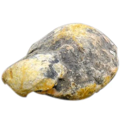 Кит амбра для продажи