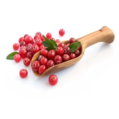 Hot Sales Food Grade Pure Natural Wholesale Concentrate Fruit Juice Cranberry Powder