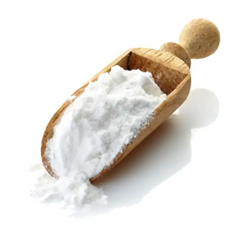 
Professional FIP Consulting Service for FIPV Prevention for cat GS-441524 