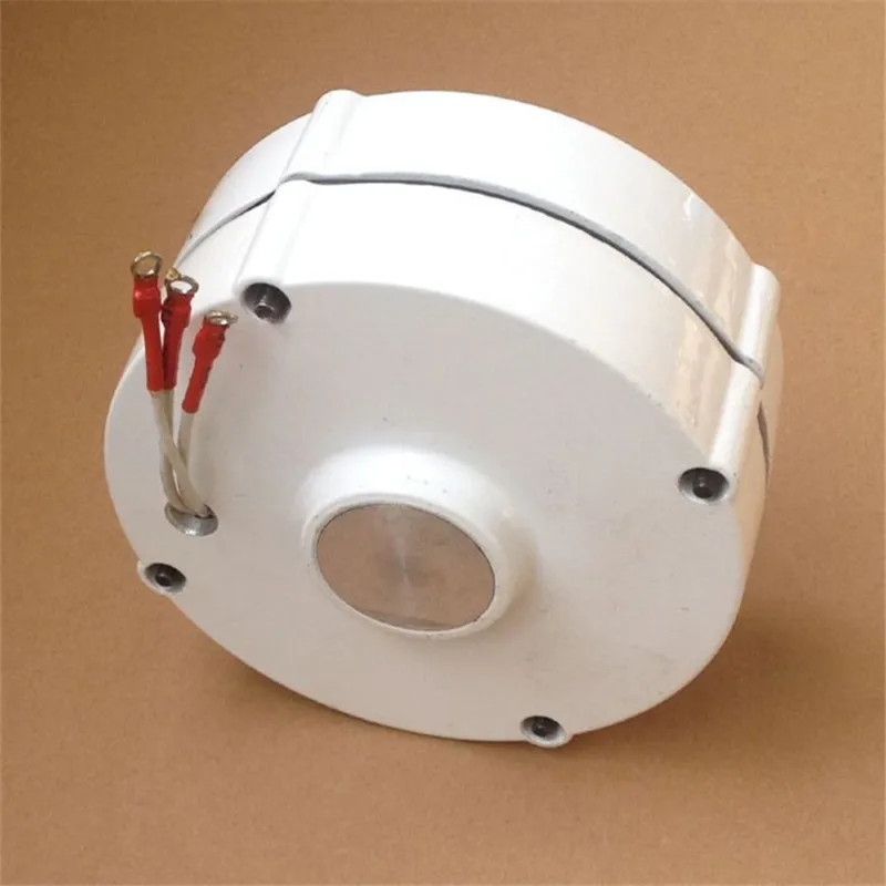 
100w Permanent magnet generator for DIY 