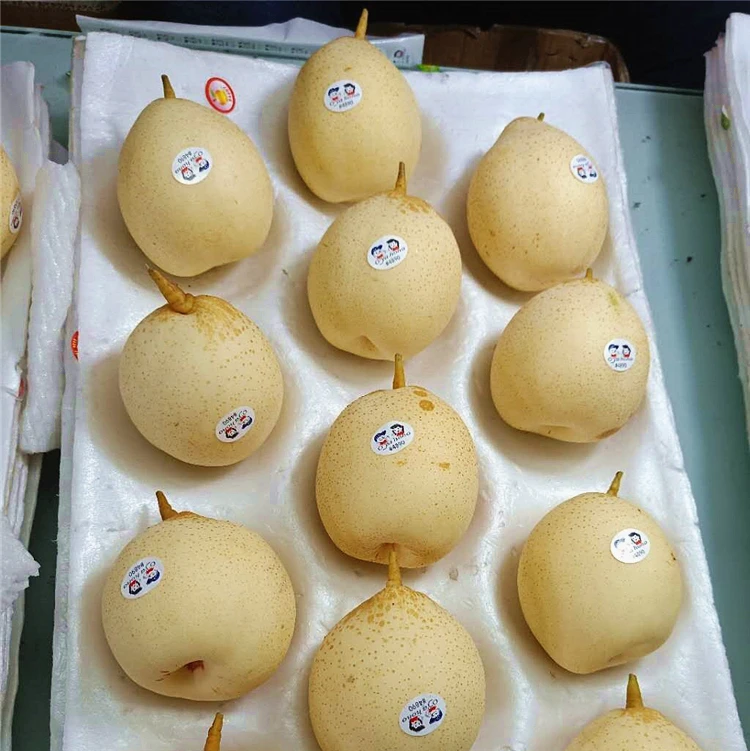 
New corp Chinese Fresh Yellow Ya Pears 2020 from China 
